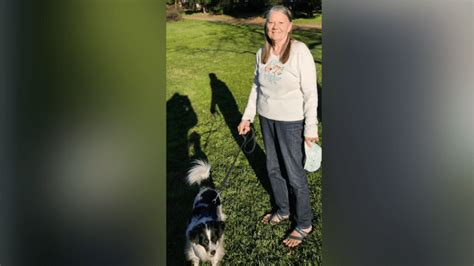 Woman missing after walking her dog along North Bay highway